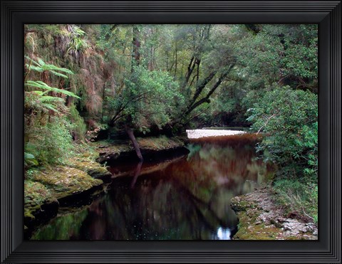 Framed Oparara River, Oparara Basin, New Zealand Print