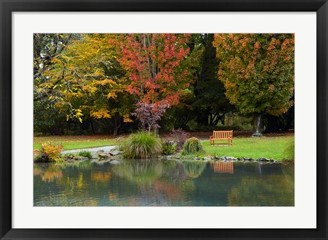 Framed Autumn Color in Hagley Park, Christchurch, Canterbury, New Zealand Print