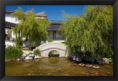 Framed Chinese Gardens, Dunedin, South Island, New Zealand Print