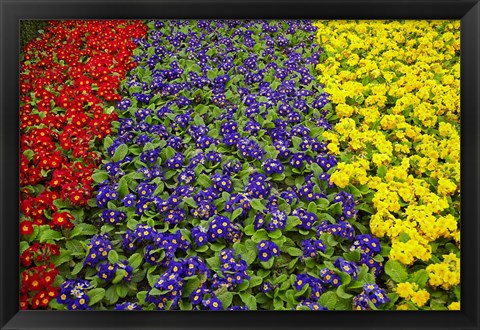 Framed Flower garden at Dunedin Railway Station, South Island, New Zealand Print