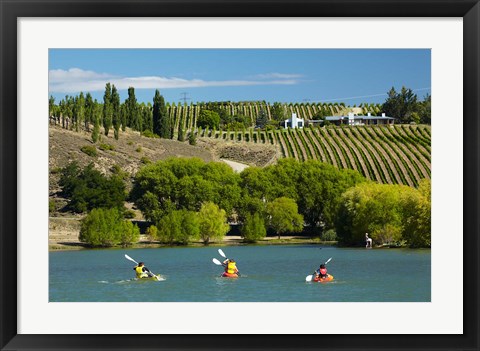 Framed Kayakers and vineyard, Bannockburn Inlet, Lake Dunstan, Central Otago, South Island, New Zealand Print