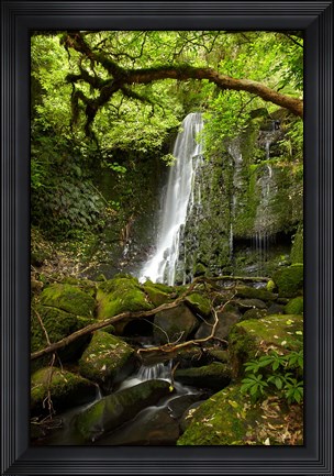 Framed Matai Falls, Catlins, South Otago, South Island, New Zealand Print
