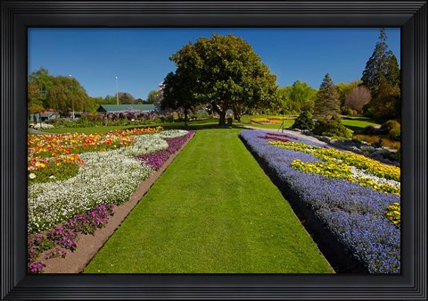 Framed Pollard Park, Blenheim, Marlborough, New Zealand Print