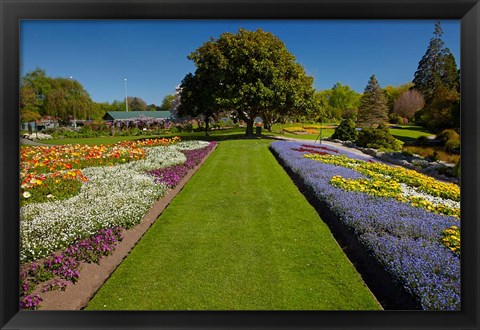 Framed Pollard Park, Blenheim, Marlborough, New Zealand Print