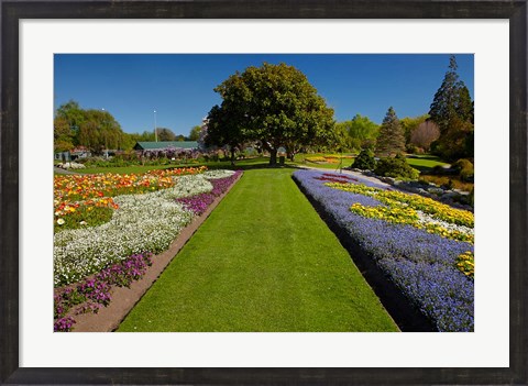 Framed Pollard Park, Blenheim, Marlborough, New Zealand Print
