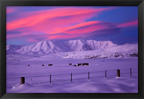 Framed Sunset over Hawkdun Range and farmland, Maniototo, Otago, New Zealand Print