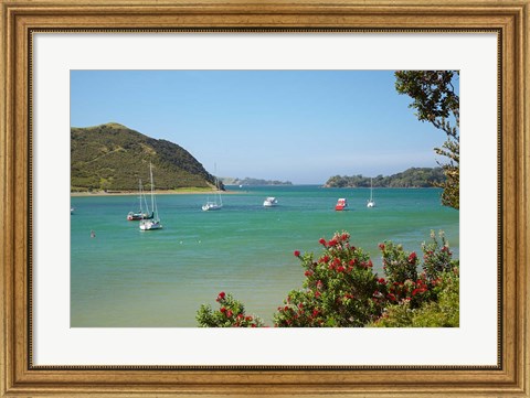 Framed Yachts moored in Waipiro Bay, North Island, New Zealand Print