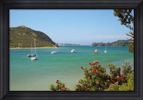 Framed Yachts moored in Waipiro Bay, North Island, New Zealand Print