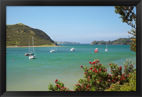 Framed Yachts moored in Waipiro Bay, North Island, New Zealand Print