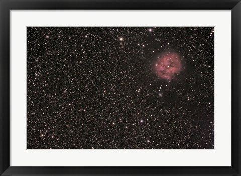 Framed Cocoon Nebula Print