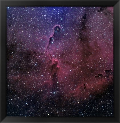 Framed Elephant Trunk Nebula Print