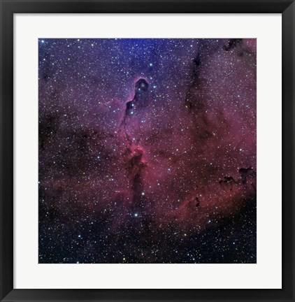 Framed Elephant Trunk Nebula Print