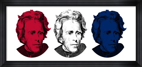 Framed Andrew Jackson in Red, White and Blue Print