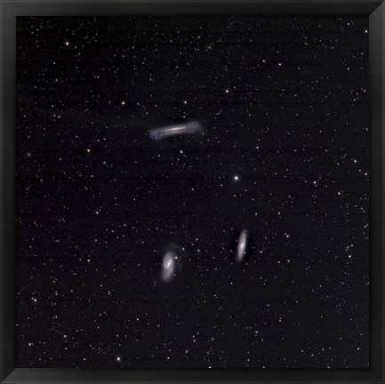 Framed Leo Triplet Print