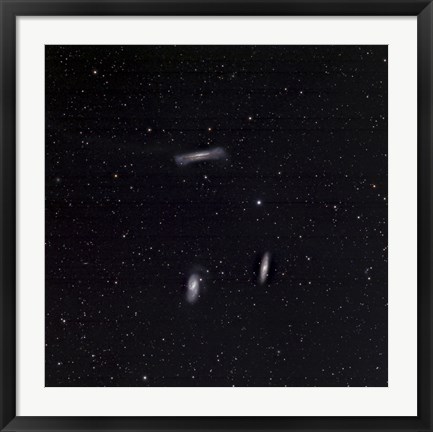 Framed Leo Triplet Print