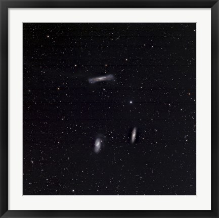 Framed Leo Triplet Print