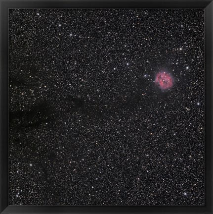 Framed Cocoon Nebula Print