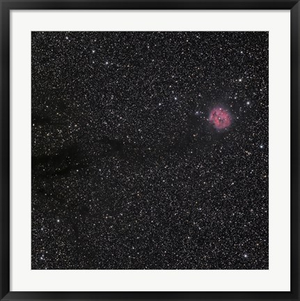 Framed Cocoon Nebula Print