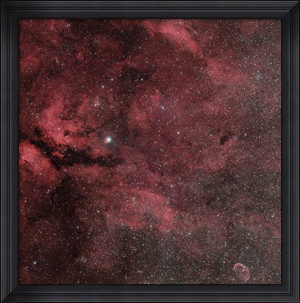 Framed Sadr Region with the Crescent Nebula Print