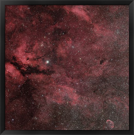 Framed Sadr Region with the Crescent Nebula Print