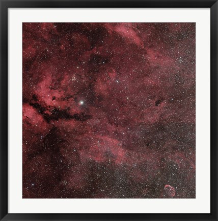 Framed Sadr Region with the Crescent Nebula Print