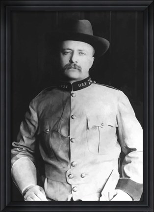 Framed Colonel Theodore Roosevelt Print