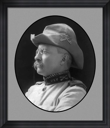 Framed Colonel Theodore Roosevelt (side profile) Print