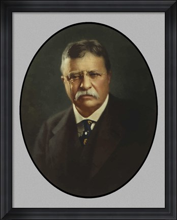 Framed President Theodore Roosevelt Print
