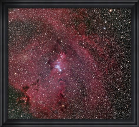 Framed Cone and Christmas Tree Nebula Print