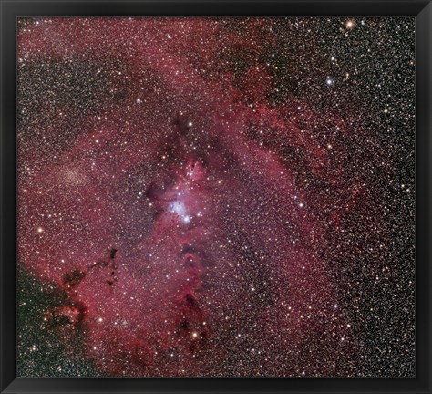 Framed Cone and Christmas Tree Nebula Print