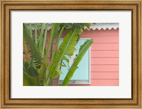 Framed Palm and Pineapple Shutters Detail, Great Abaco Island, Bahamas Print