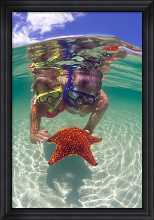Framed Snorkeling in the Blue Waters of the Bahamas Print