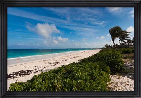 Framed Bahamas, Eleuthera, Harbor Island, Pink Sand Beach Print