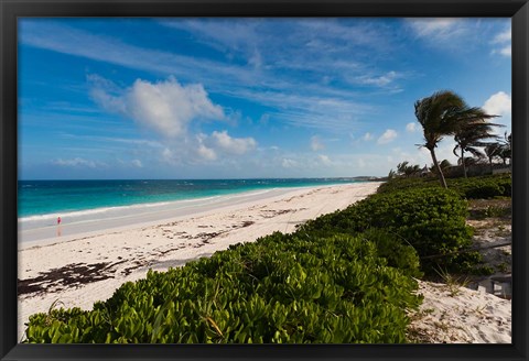 Framed Bahamas, Eleuthera, Harbor Island, Pink Sand Beach Print