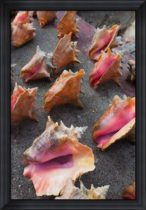 Framed Bahamas, New Providence, Nassau, Straw market Print