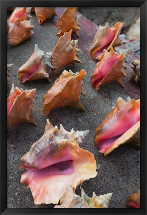 Framed Bahamas, New Providence, Nassau, Straw market Print