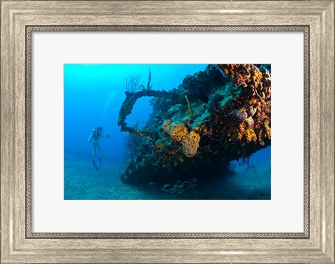 Framed Scuba diver, RMS Rhone wreck, British Virgin Isl Print