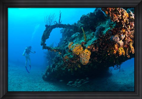 Framed Scuba diver, RMS Rhone wreck, British Virgin Isl Print
