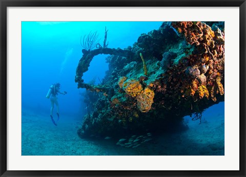 Framed Scuba diver, RMS Rhone wreck, British Virgin Isl Print