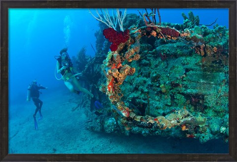 Framed Wreck of the RMS Rhone, Coast of Salt Island, near Tortola, British Virgin Islands Print