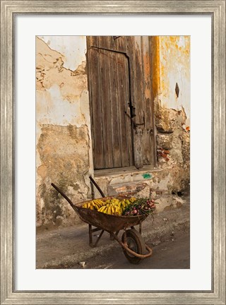 Framed Bananas in wheelbarrow, Havana, Cuba Print