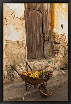 Framed Bananas in wheelbarrow, Havana, Cuba Print