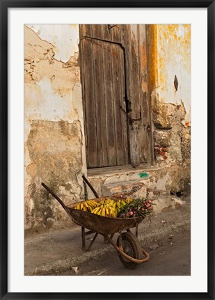 Framed Bananas in wheelbarrow, Havana, Cuba Print