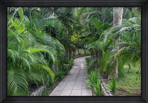 Framed Pathway, Hemingway House, Hemingway Museum, Finca Vigia, Havana, Cuba Print