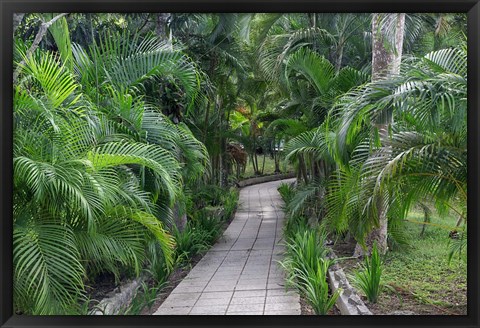 Framed Pathway, Hemingway House, Hemingway Museum, Finca Vigia, Havana, Cuba Print