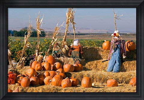 Framed Scarecrows, Fruitland, Idaho Print
