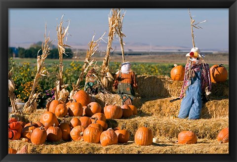 Framed Scarecrows, Fruitland, Idaho Print