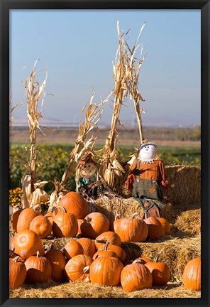 Framed Pumpkin, hay bales, scarecrows, Fruitland, Idaho Print