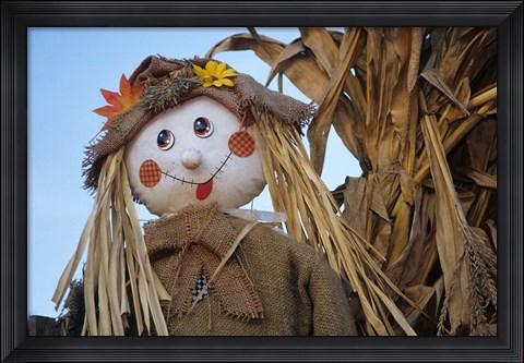 Framed Scarecrow and Dead Corn Husks, Carnation, Washington Print
