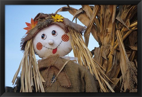 Framed Scarecrow and Dead Corn Husks, Carnation, Washington Print